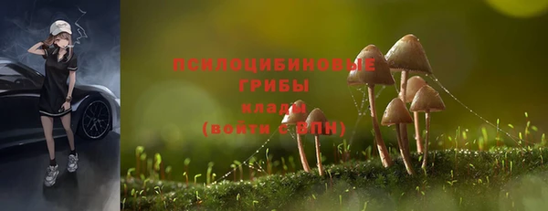бошки Балахна