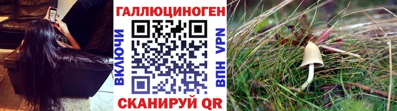 Галлюциногенные грибы MAGIC MUSHROOMS  Гаврилов-Ям 